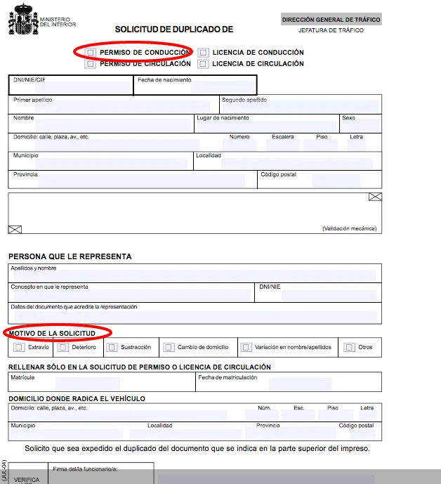 spanish driving licence