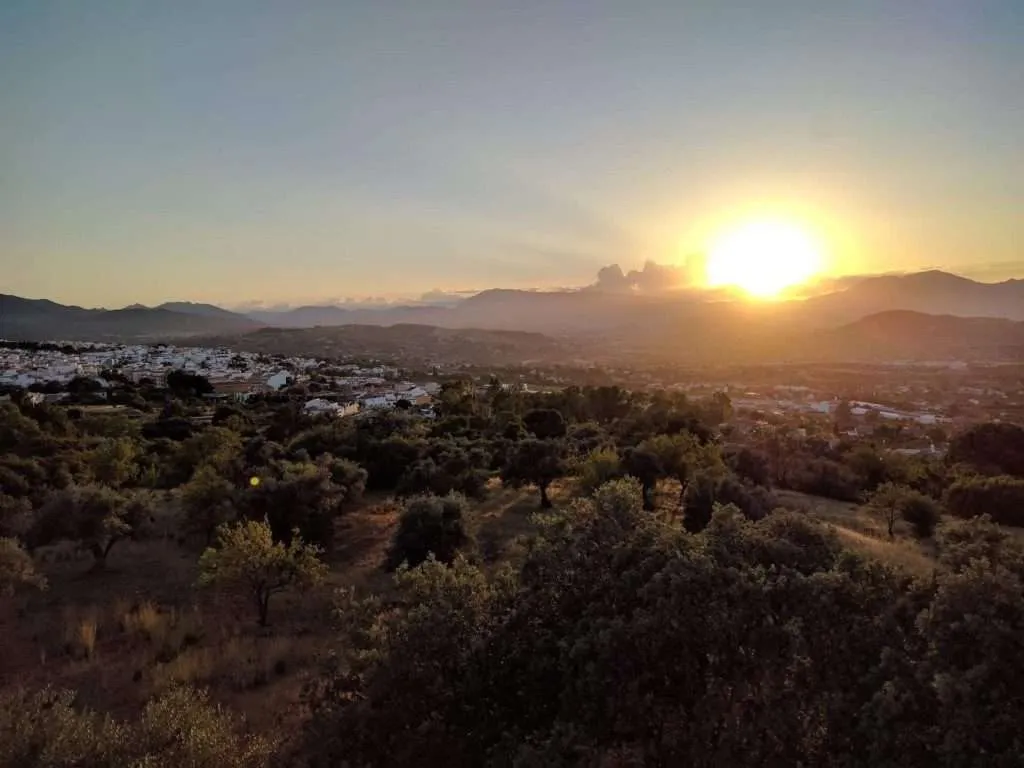 move to alhaurin el grande